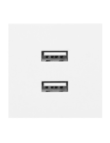 NOEN USB x 2, podwójny port modułowy 45x45mm z ładowarką USB, 2,1A 5V DC, biały