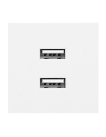 NOEN USB x 2, podwójny port modułowy 45x45mm z ładowarką USB, 2,1A 5V DC, biały