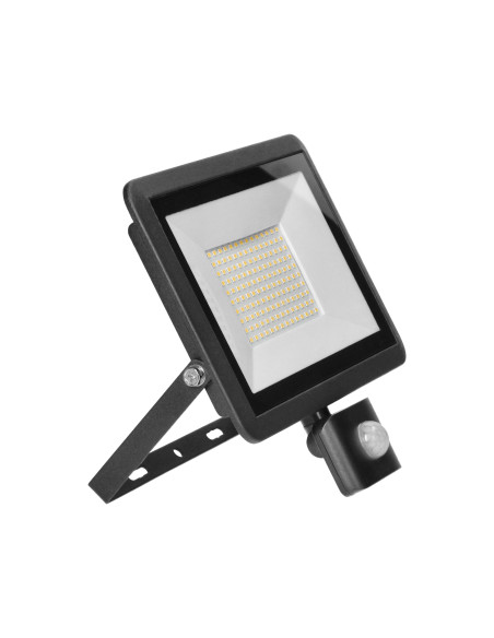 FARO S LED 100W naświetlacz z PIR 8000lm, IP44, 4000K, aluminium + szkło 