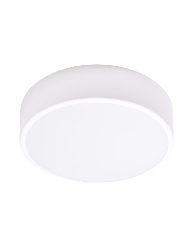 OVO plafon LED, 24W, 4000K, 2750lm, biała stal, klosz szklany matowy, IP20, Ø 300