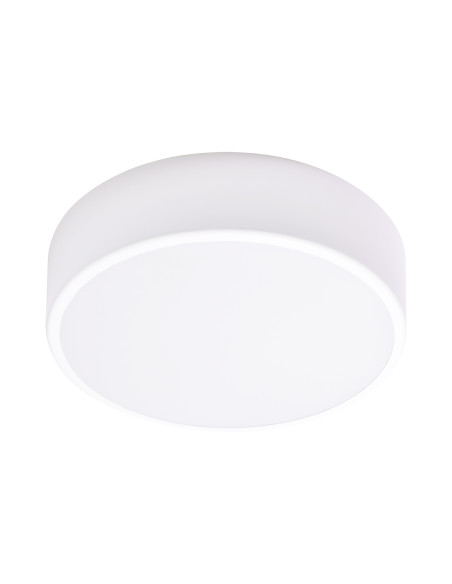 OVO plafon LED, 43W, 4000K, 4750lm, biała stal, klosz szklany matowy, IP20, Ø 400